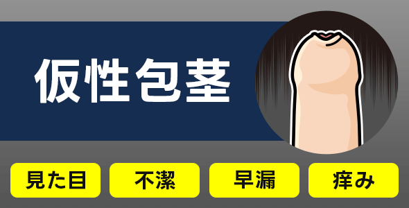 仮性包茎